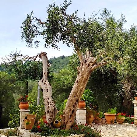 Villa Raxi Fountana Екстер'єр фото